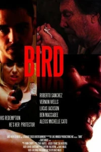 Bird (2020)