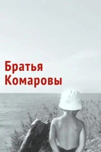 Братья Комаровы (1961)