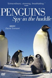 Пингвины: Шпион в толпе (2013)