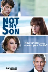 Non è stato mio figlio (2016)