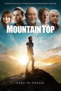 Вершина горы (2017)