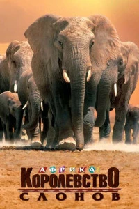 Африка - королевство слонов (1998)