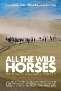 All the Wild Horses (2017)